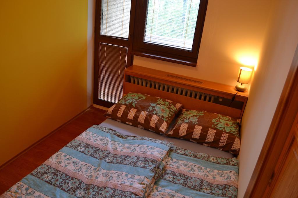 Apartman V Tatranskej Lomnici, Dinda 127 タトランスカ・ ロムニツァ エクステリア 写真